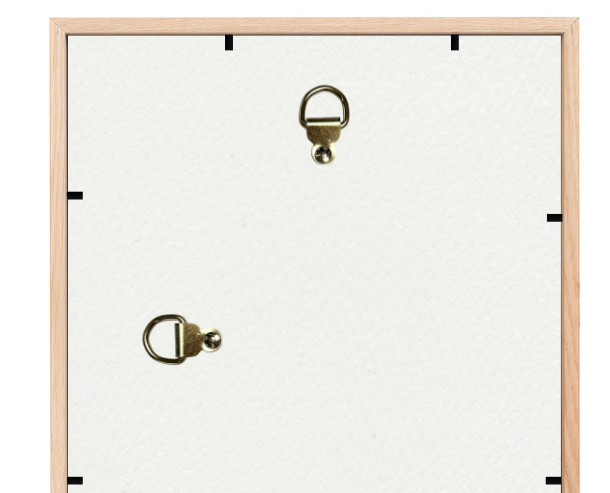 dos du cadre standard popframe